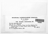 Image Associated With the Occurence